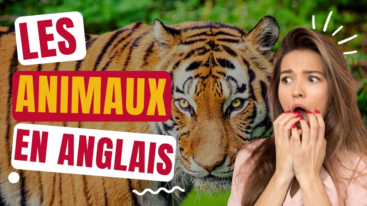 Connaitre les animaux en anglais ( vocabulaire )