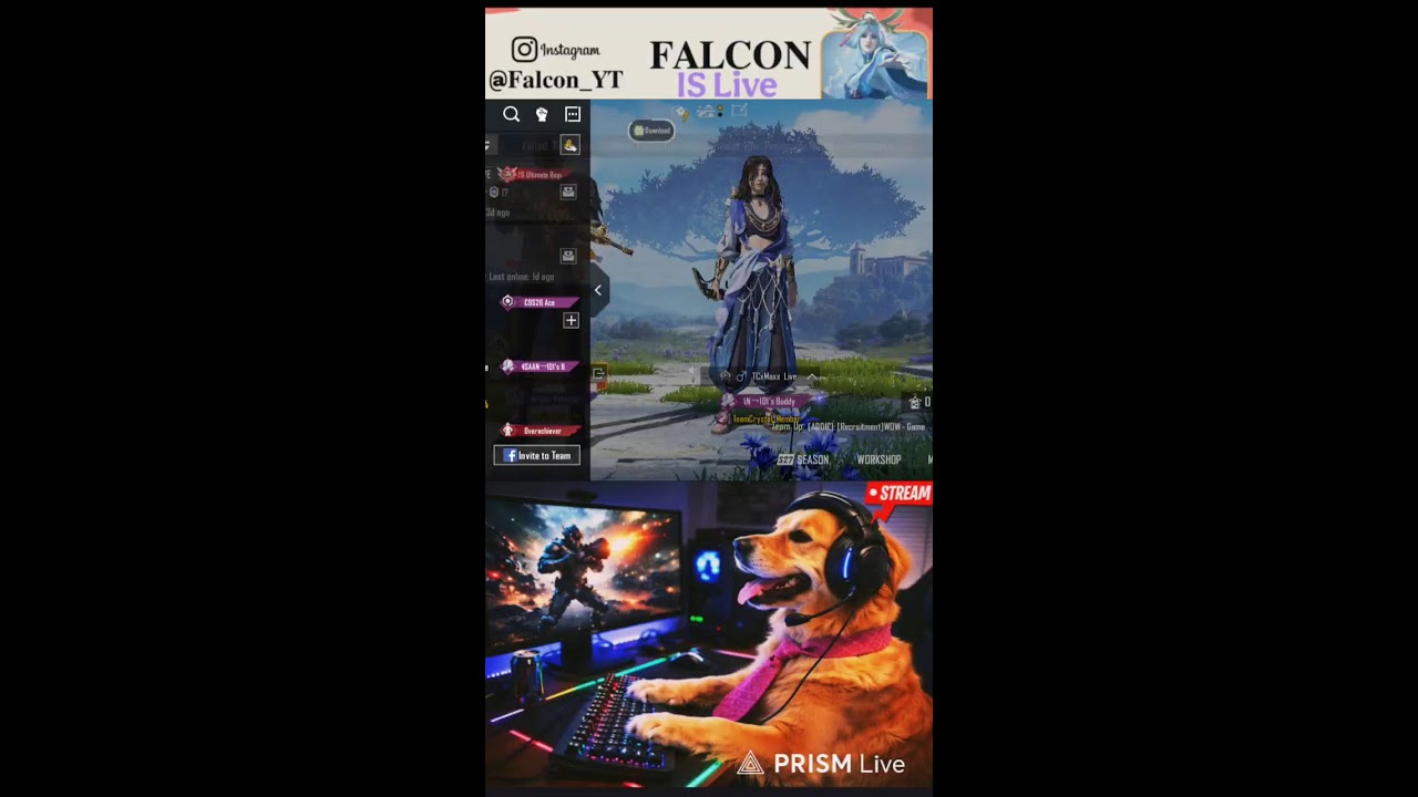 BGMI LIVE SCRIMS 🔥 | FALCN OFFICIAL 13 | Intense Competitive Matches