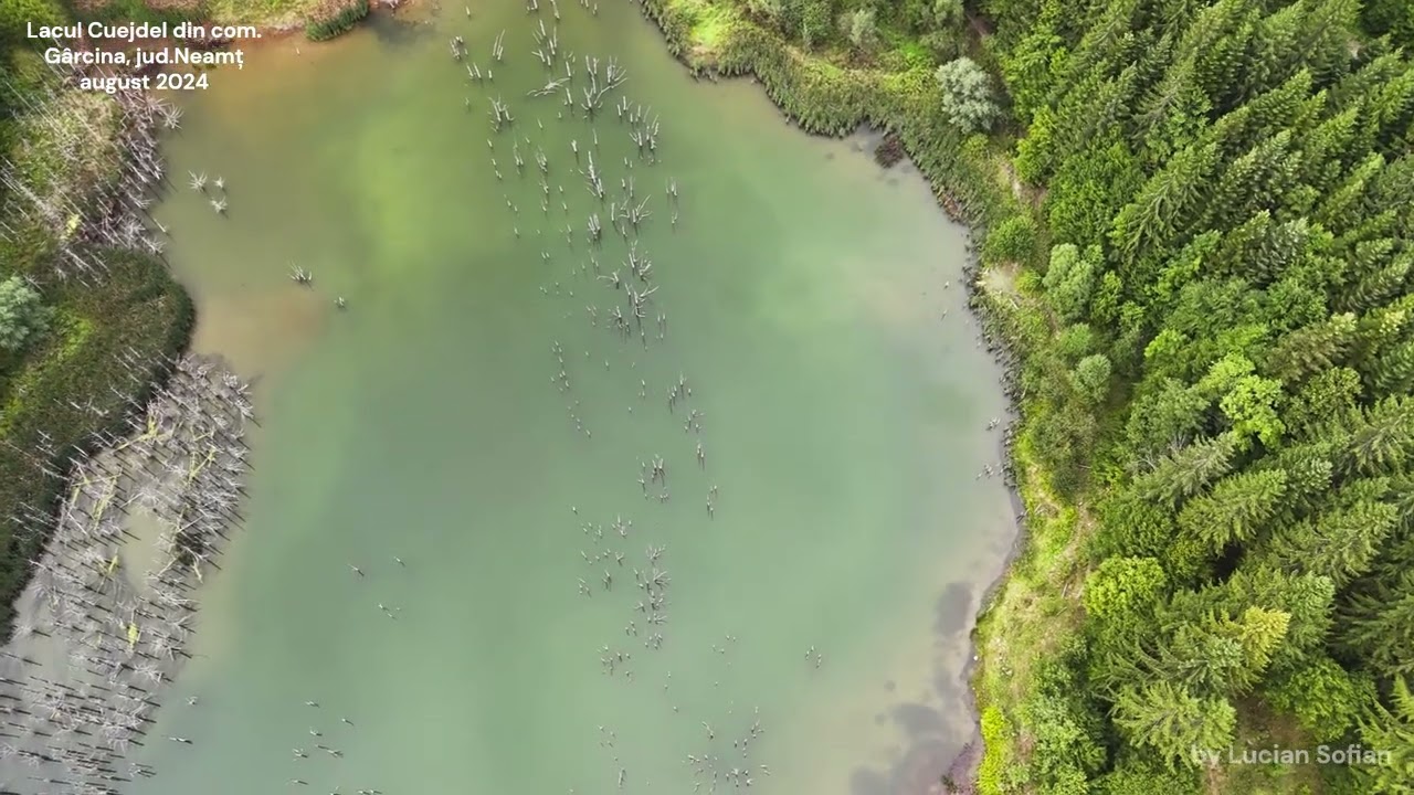 Lacul Cuejdel din com.Gârcina, jud. Neamț august 2024