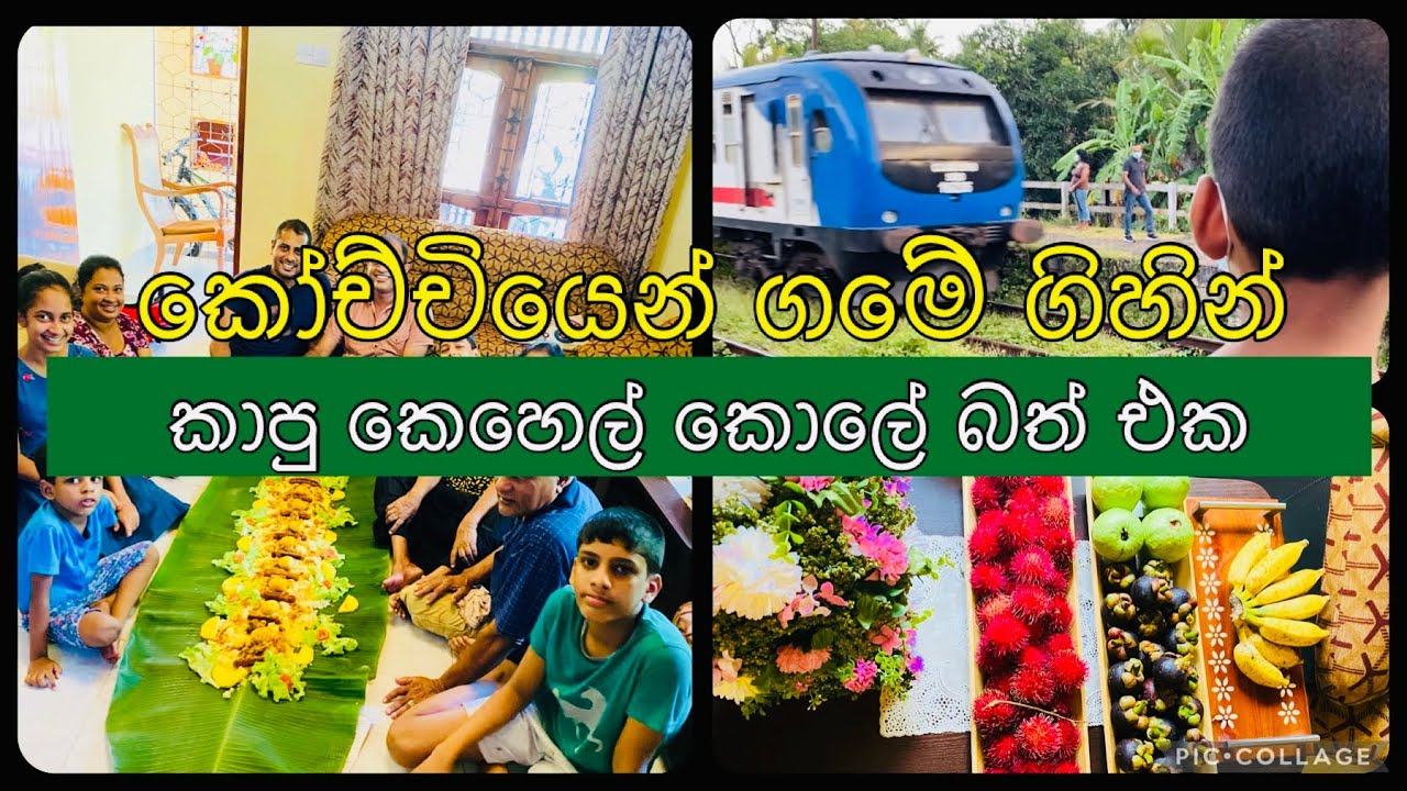 කෝච්චියෙන් ගමට යනවා- කෙසෙල් කොලේ කාලා එනවා 😁 අපේ unplanned කෙසෙල් කොලේ trend එක|Family Vlog Sinhala