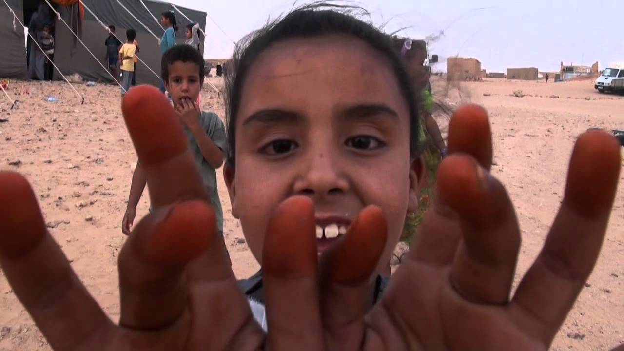 Sahara 2015 CICODE