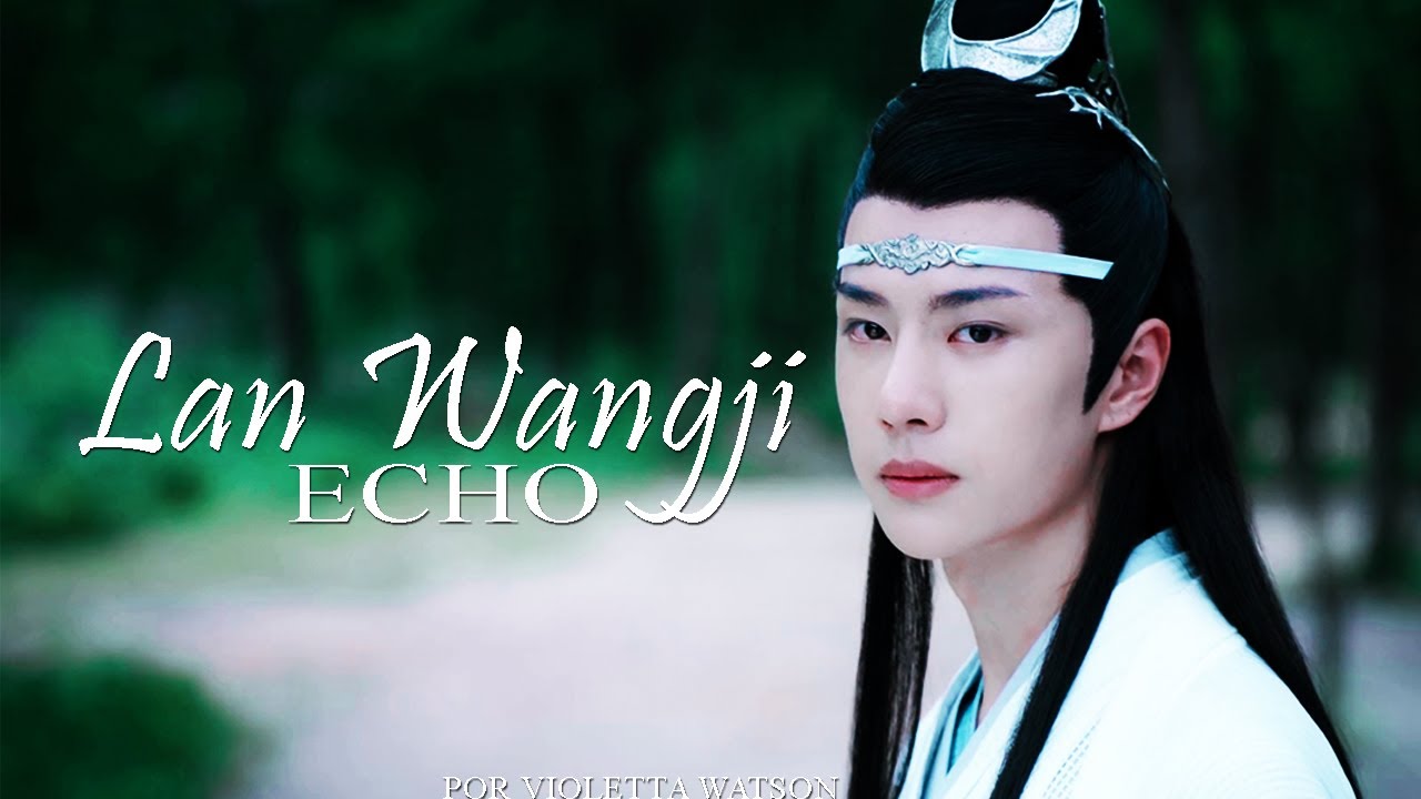 The Untamed (陈情令) | Echo MV
