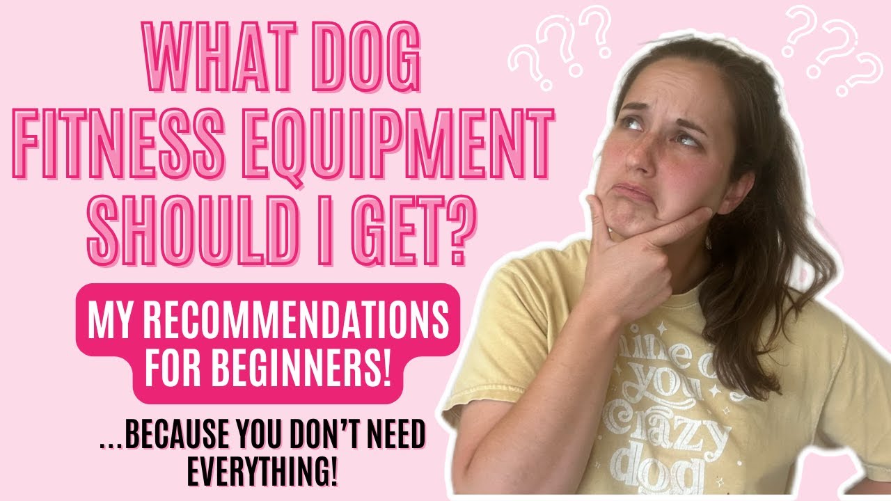 What Dog Fitness Equipment Should I Get