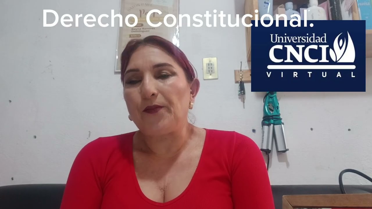 Proyecto integrador Derecho Constituciónal.
