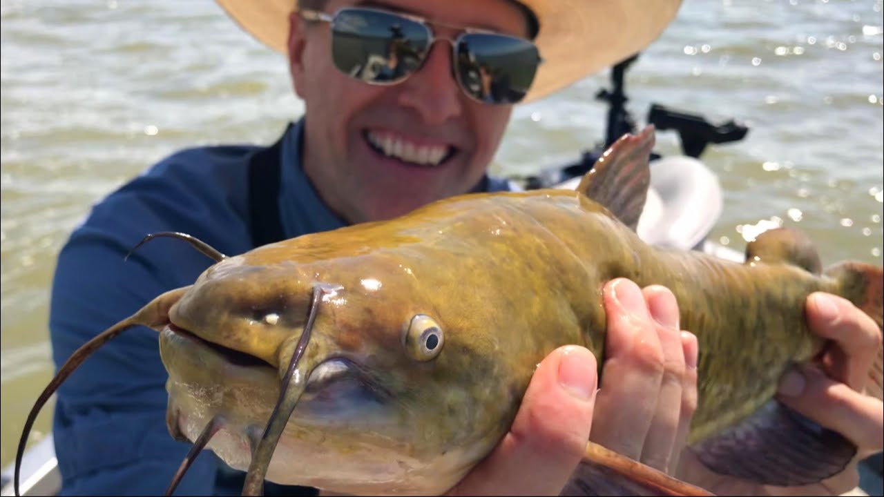 Shocked by Monster Bullhead Catch!