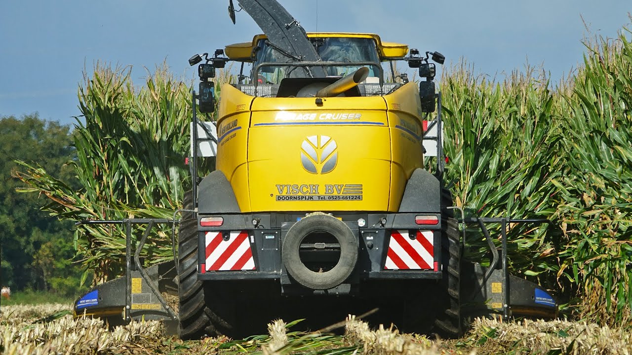 Mais Silage 2025 | New Holland FR550 + Fendt | Visch