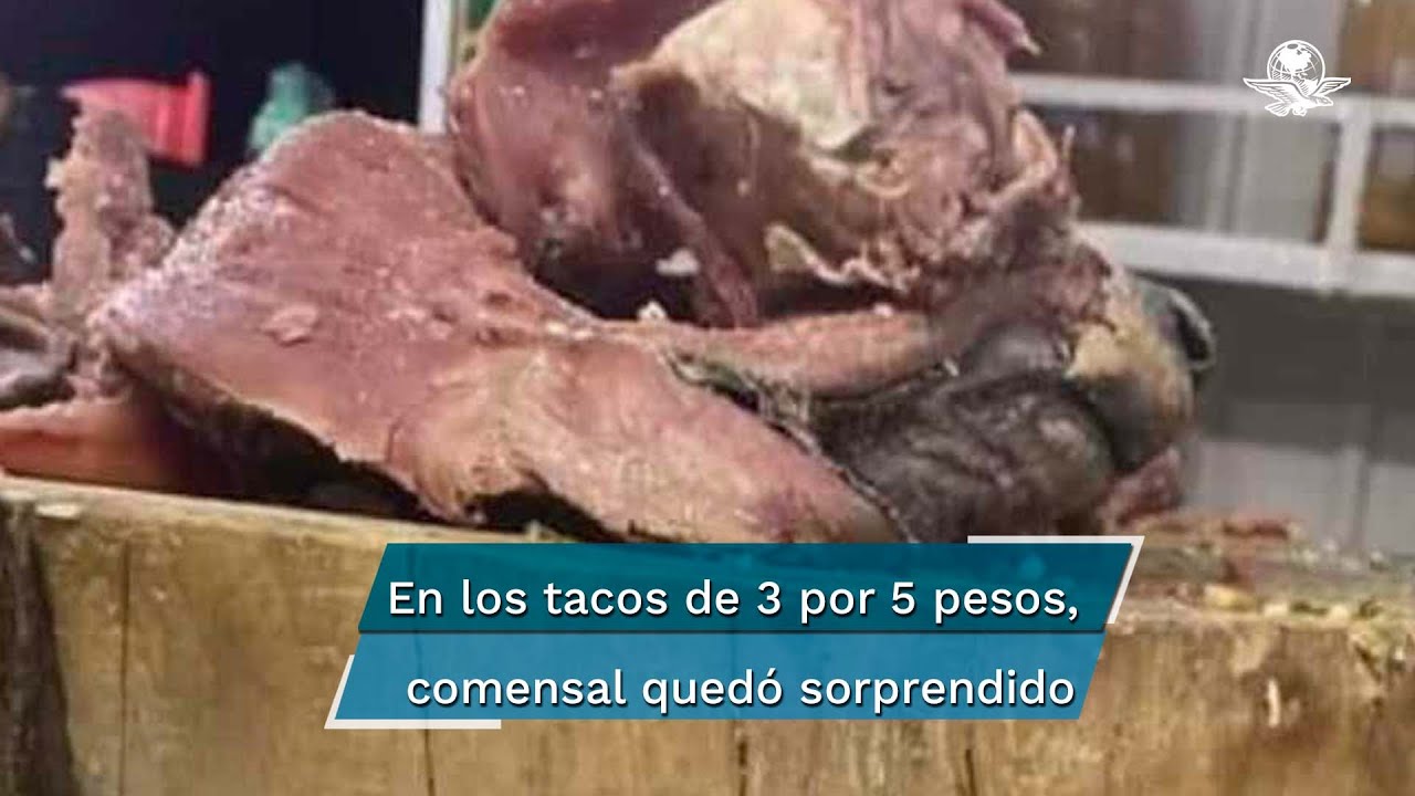 Tacos de cabeza&hellip; &iquest;de perro? Esto encontraron en una taquer&iacute;a de CDMX