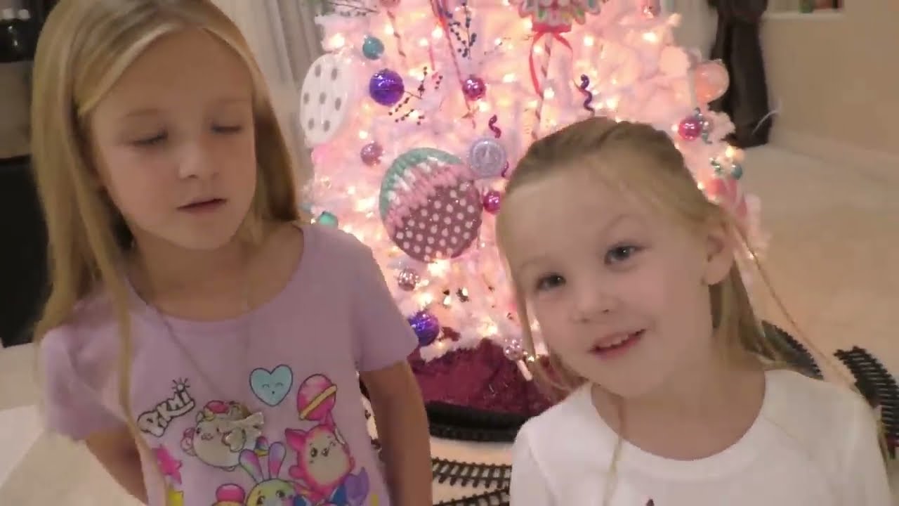 The Grinch Stole Our Christmas!! Real Life Grinch Hide and Seek for Presents!
