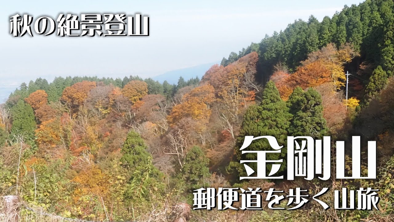 秋色に染まる金剛山｜郵便道を歩く静寂と紅葉の山旅