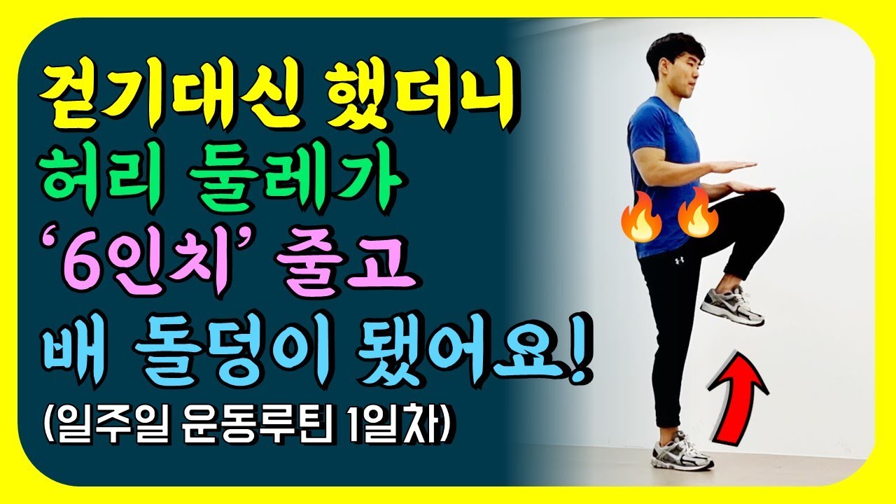 걷기운동 대신 서서 따라하면 중년뱃살, 내장지방 싹 다 빠집니다! 무릎관절에 무리없는 전신운동 내 몸에 엄청난 변화가 찾아옵니다! [뱃살빼는운동, 옆구리, 하체운동]