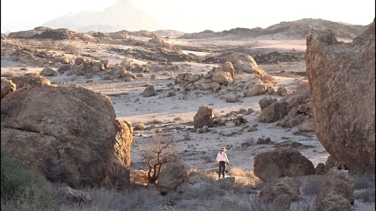 Good Morning!  Let's search for Wildlife in the Namib Desert