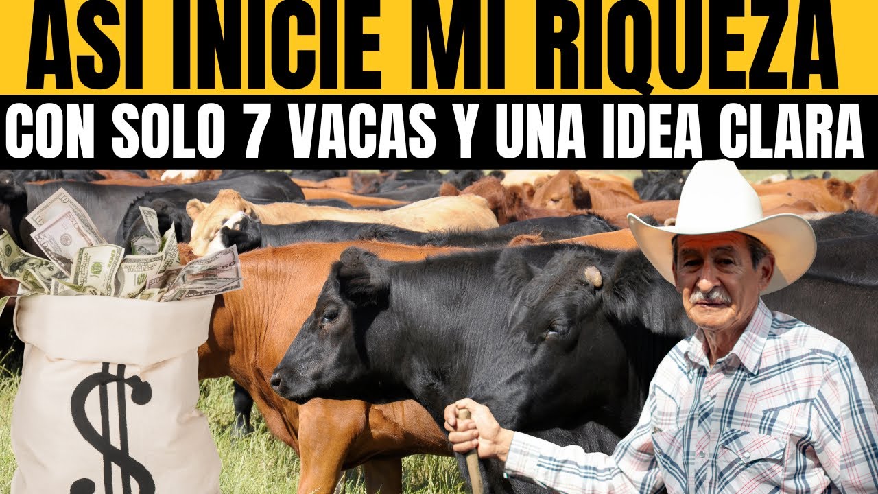 Así inicié mi riqueza con solo 7 vacas y una idea clara  lechería semiestabulada