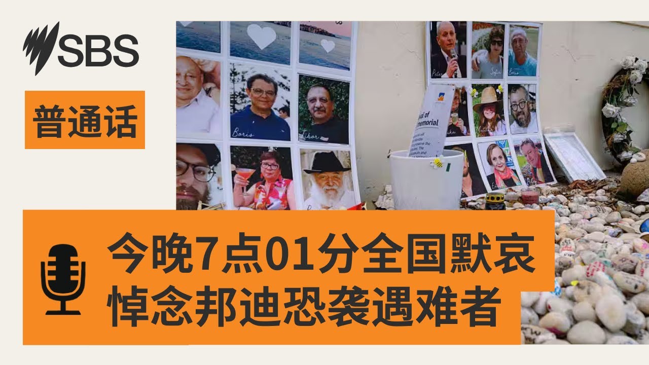 【SBS新闻快报】今晚7点01分全国默哀 悼念邦迪恐袭遇难者 | SBS Mandarin - SBS 普通话电台