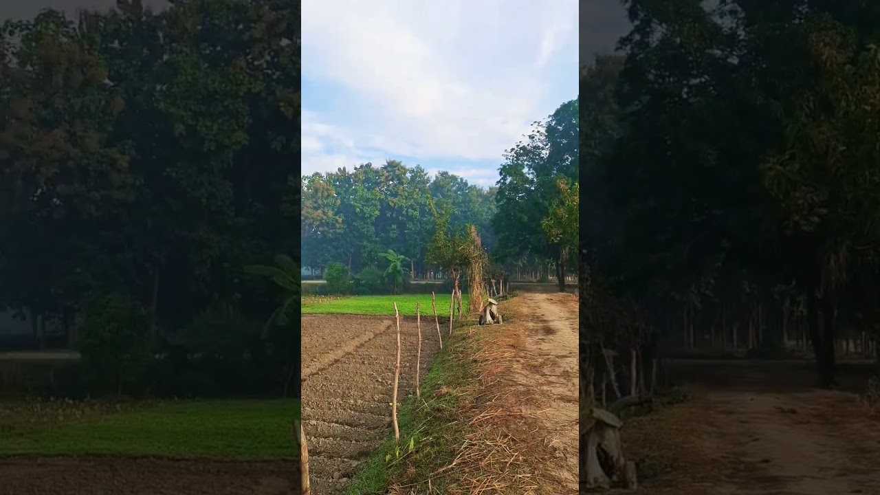 Walking Through Nature 🌾🛤 | Village Lifestyle 