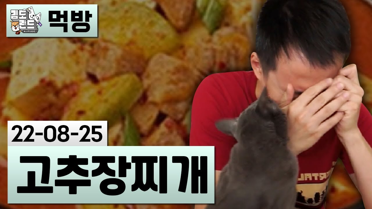 [먹방] 고추장찌개 (22-08-25) | 김도 풀영상
