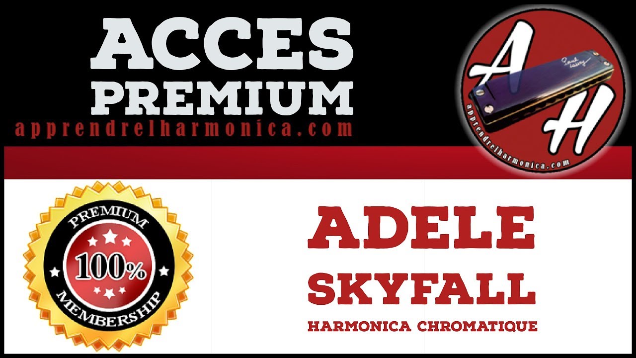 Skyfall - Adele - Harmonica chromatique