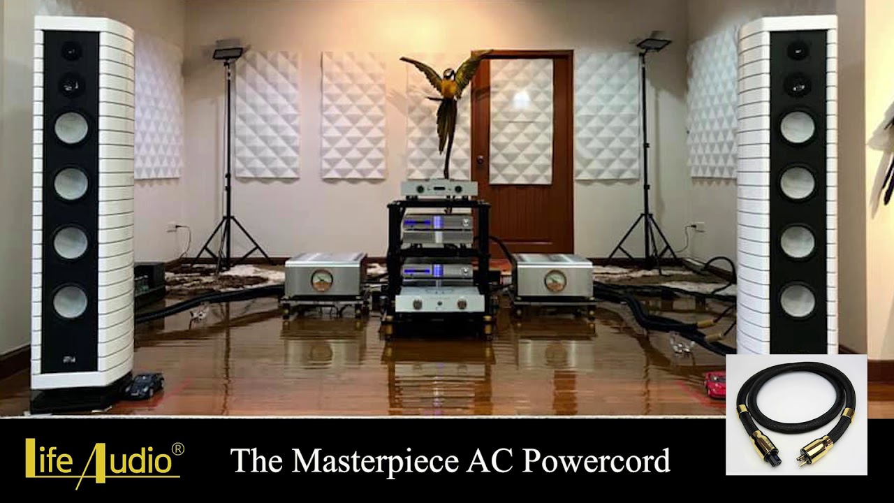 Life Audio The Masterpiece AC Powercord
