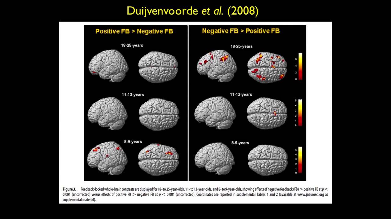 Neuroéducation et formation des adultes