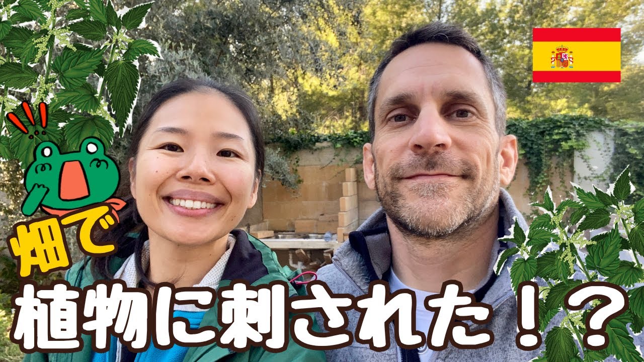 窓をDIYで取り付け【スペイン田舎暮らし】