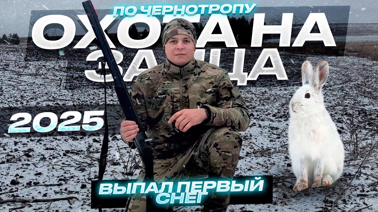 Охота на зайца 2025 | Выпал первый снег