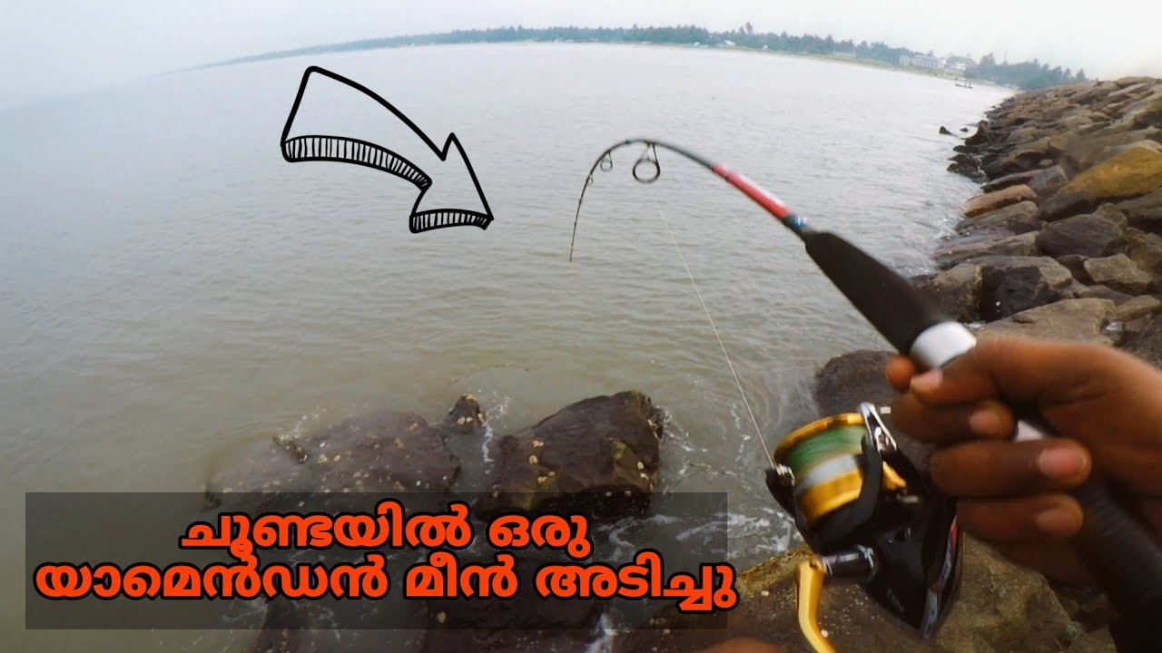 ഇപ്പോൾ ചൂണ്ട ഒടിഞ്ഞേനെ ㊙️ ചൂണ്ടയിൽ അടിച്ച മീനിനെ കണ്ടോ. | PSYCHO ANGLER | Malayalam video...