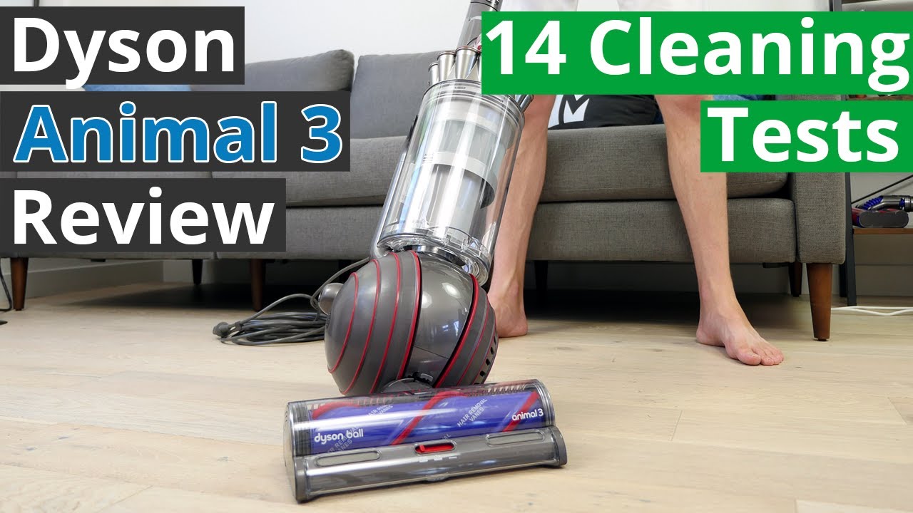 Обзор пылесоса Dyson Ball Animal 3 — 14 объективных тестов уборки
