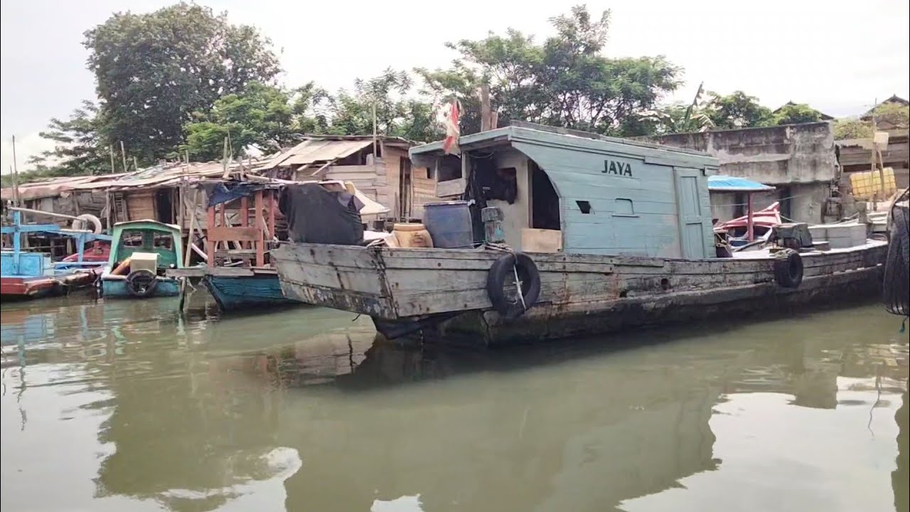 Melihat Langsung Hasil Ikan Nelayan Jakarta