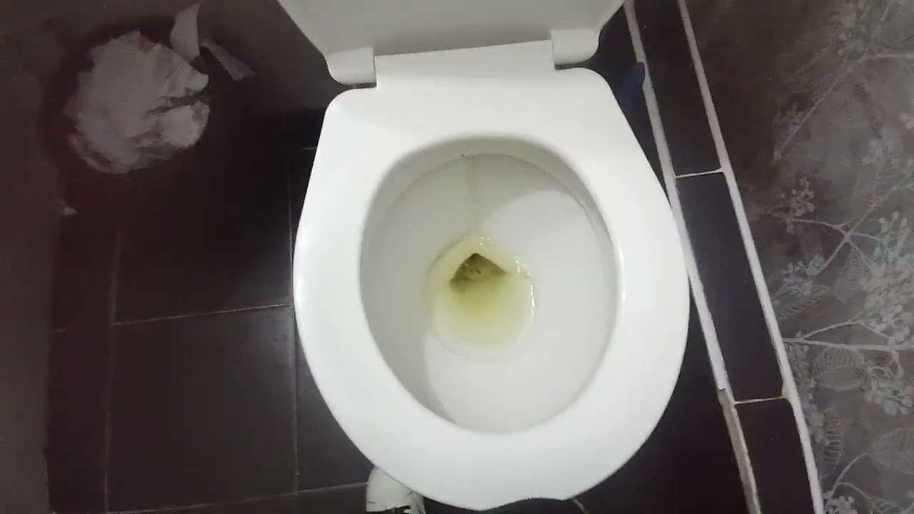 Edesa compeon toilet