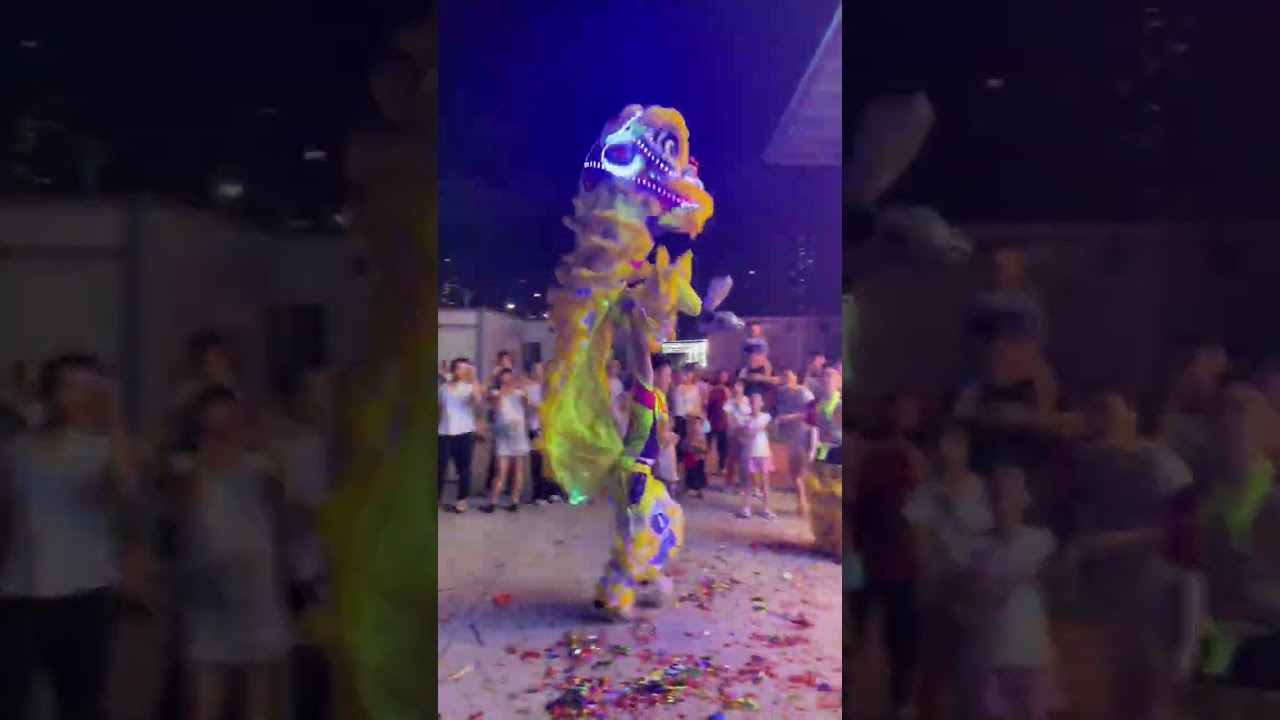 舞狮 #醒狮文化 #liondance #国家级非物质文化遗产