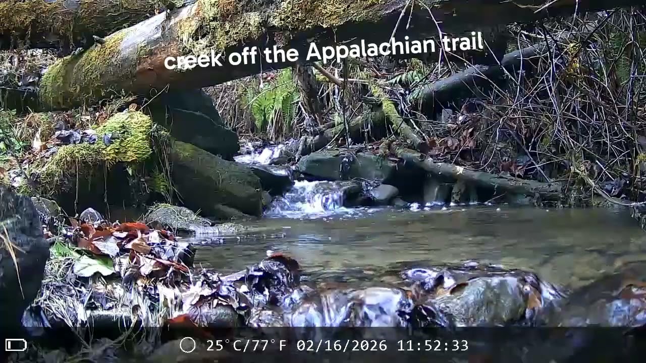 Tranquility.brook that I have to listen to every day.