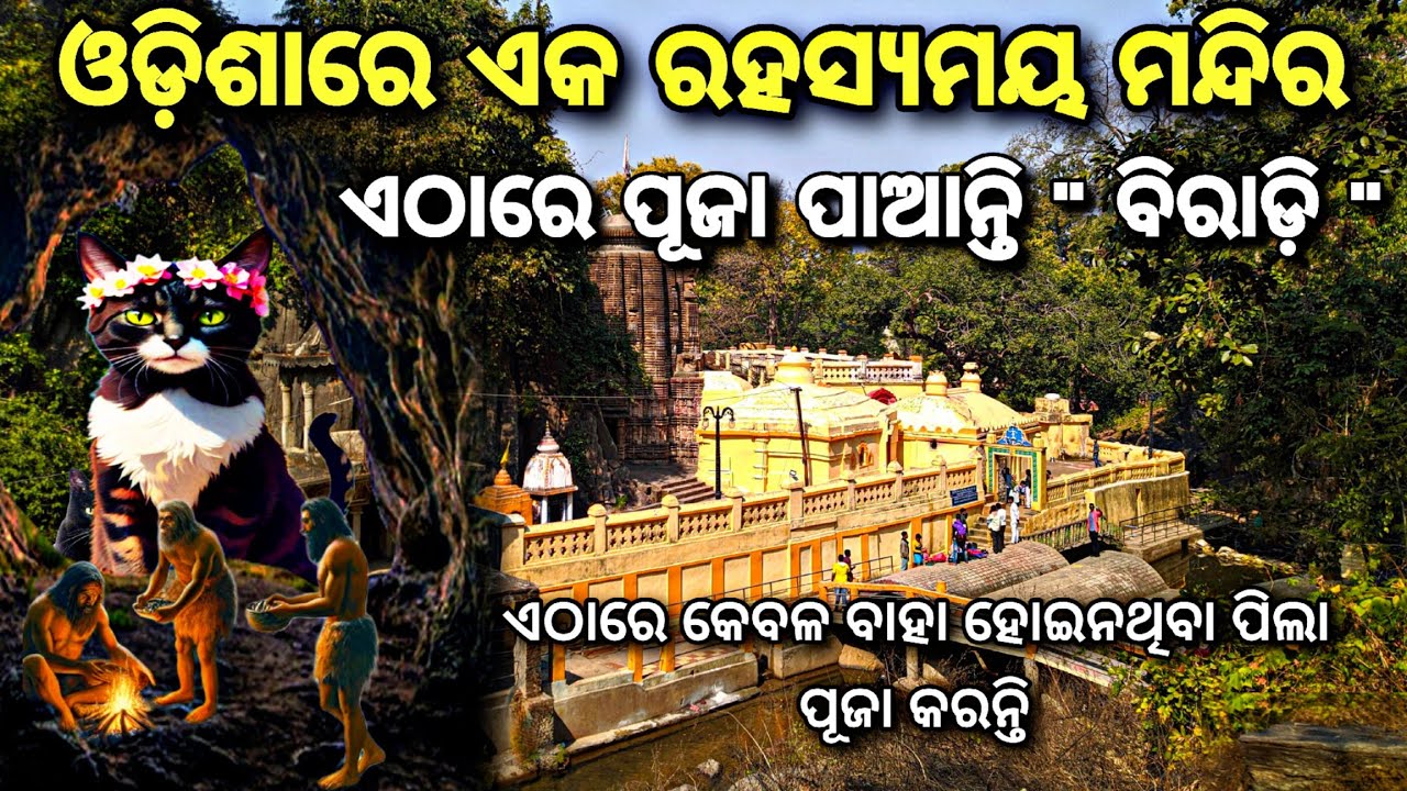 ଏଠାରେ ବିରାଡ଼ି ପାଇଥାନ୍ତି ପୂଜା // ଓଡ଼ିଶାରେ ଏକ ରହସ୍ୟମୟ ମନ୍ଦିର  #odia #rajbiswalvlogs