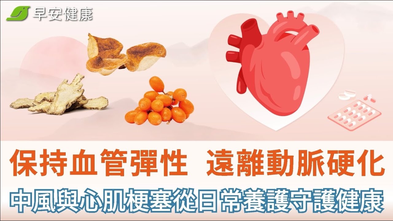 保持血管彈性，遠離動脈硬化、中風與心肌梗塞，從日常養護守護健康【早安健康】