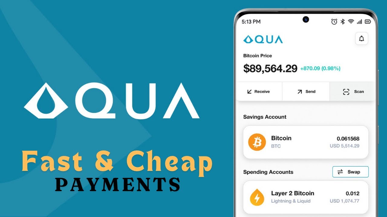 Using Aqua Wallet | Fast & Cheap Bitcoin Transactions
