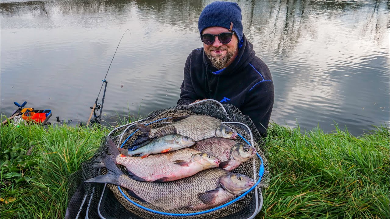 Feeder na Wiśle – Łowimy Duże Leszcze w Nowym Miejscu!