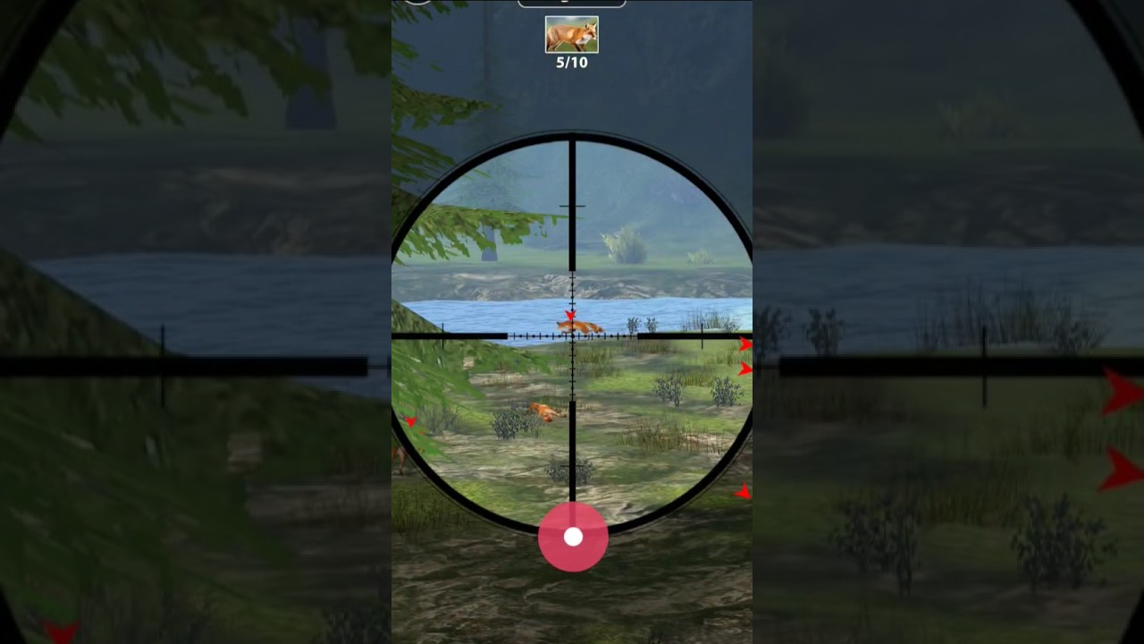 animal 🦓 hunting 