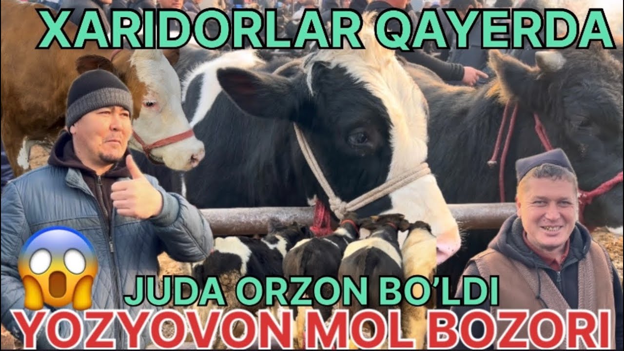 YOZYOVON MOL BOZORI @boydada_uz 😱☎️👍ОБУНА БУЛИШНИ УНУТМАНГ КАДИРДОНИМ 
