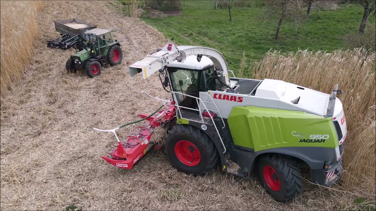 Miscanthus (Elefantengras) Ernte mit den Claas Jaguar 950.