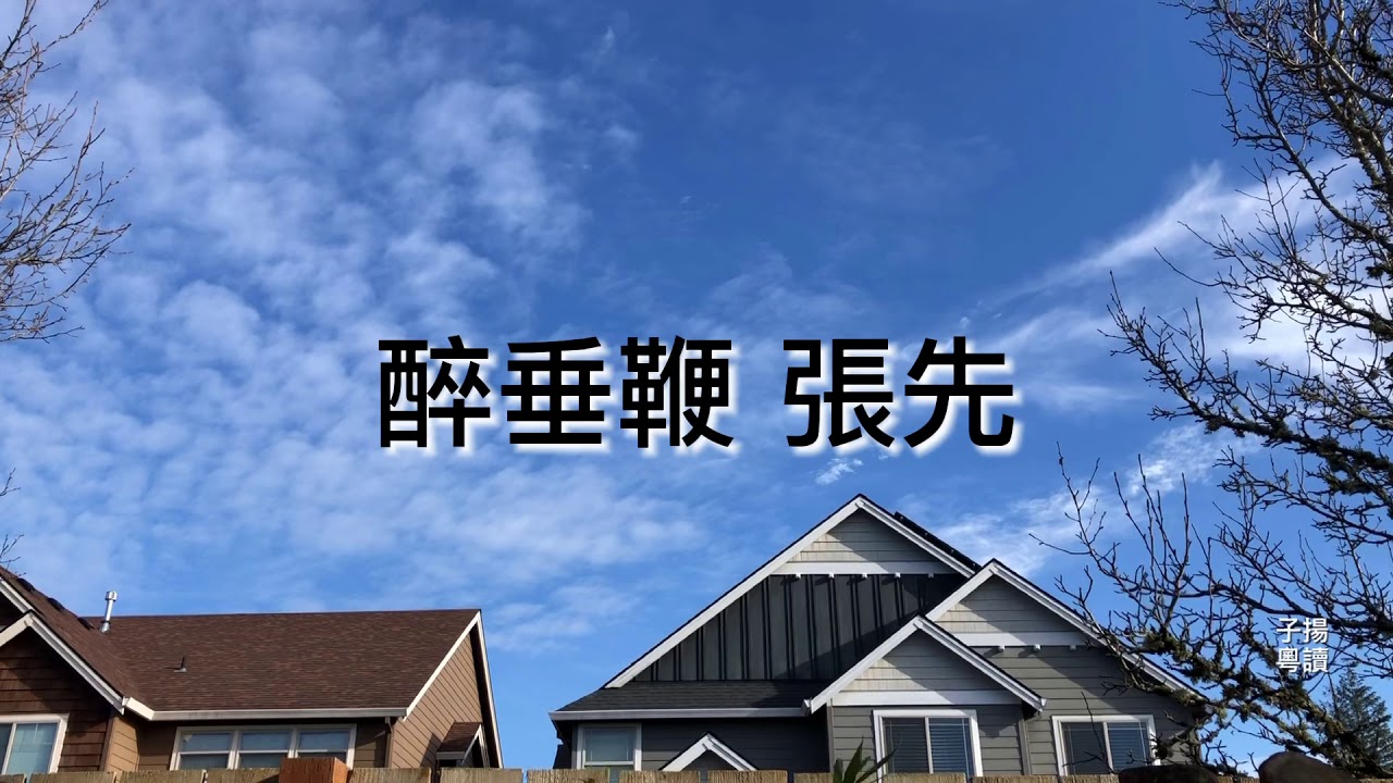 粤语朗读宋词三百首，张先《醉垂鞭》