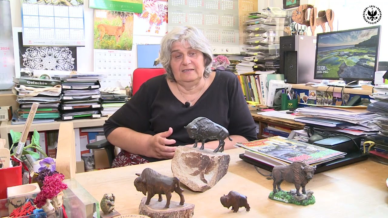 Bizon intruzem? - dlaczego w Polsce nie powinno być hodowli bizonów, prof. Wanda Olech