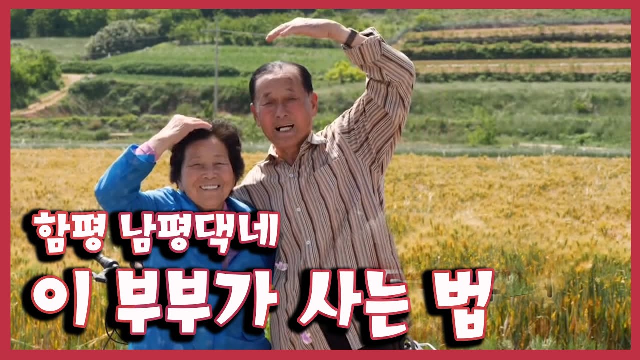 [남도지오그래피 ] 이 부부가 사는 법, 함평 남평댁네 - 200525