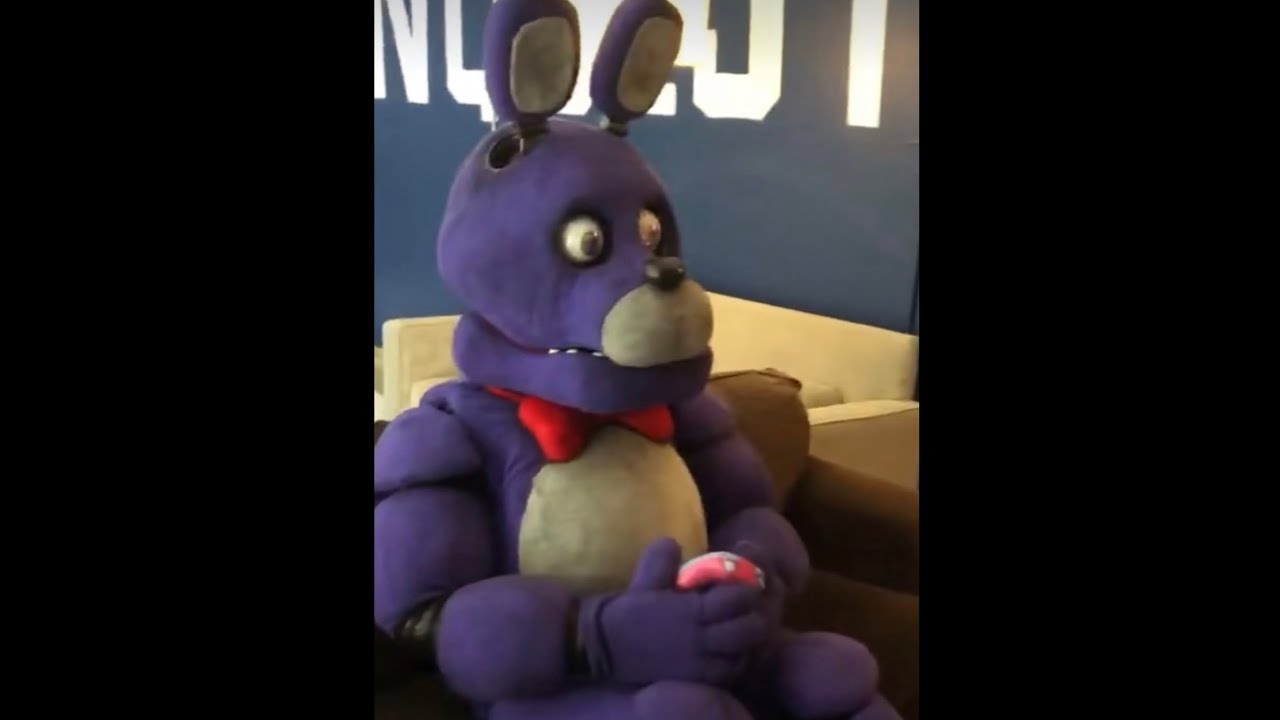 Bonnie the Bunny plays FNaF {FNaF IRL}