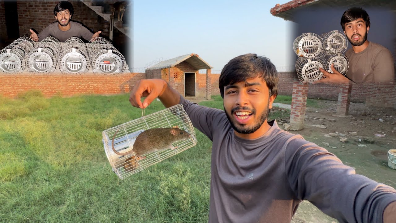 Finally Bara Badmash Pakra Gaya 😡 | Zohaib Pendu | Zohaib Sabir Vlogs