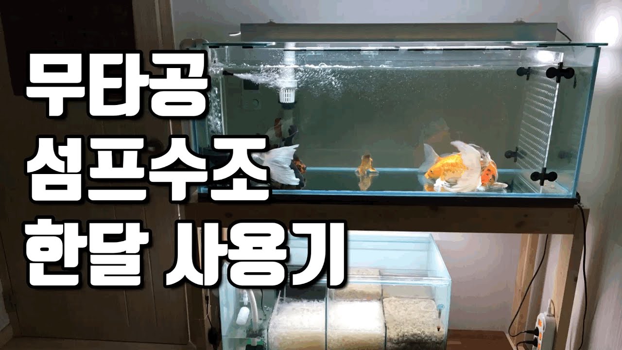 4자 무타공 섬프수조 한달 사용기