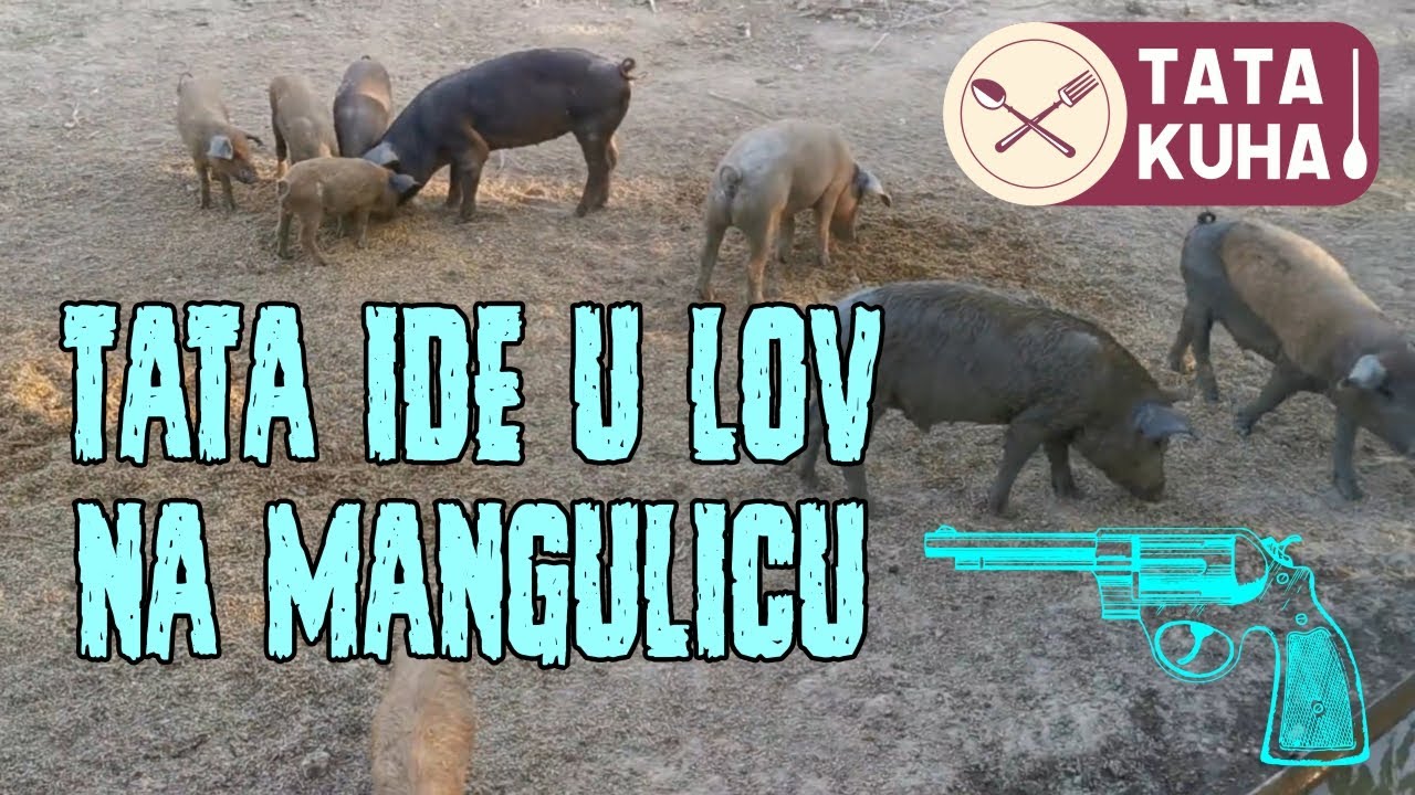 Tata ide po Mangulicu