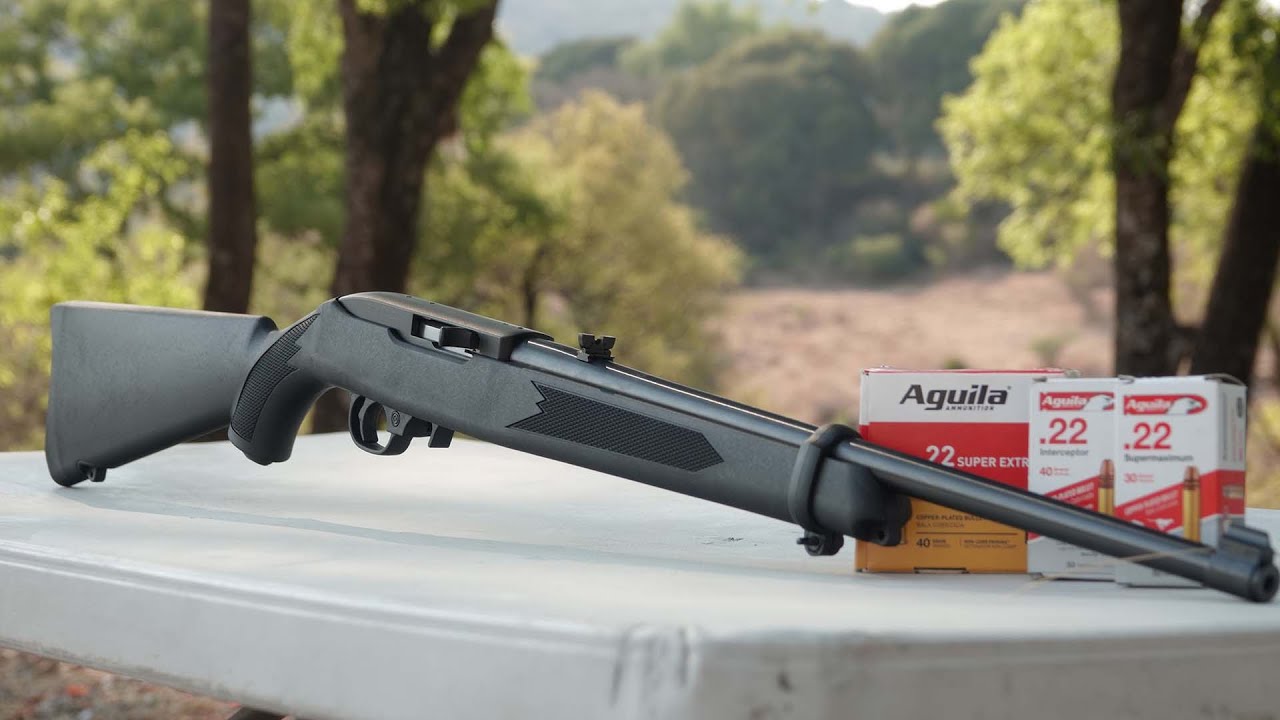 Ruger 10/22 Rifle cal .22LR Review en español Dcam Sedena 2021