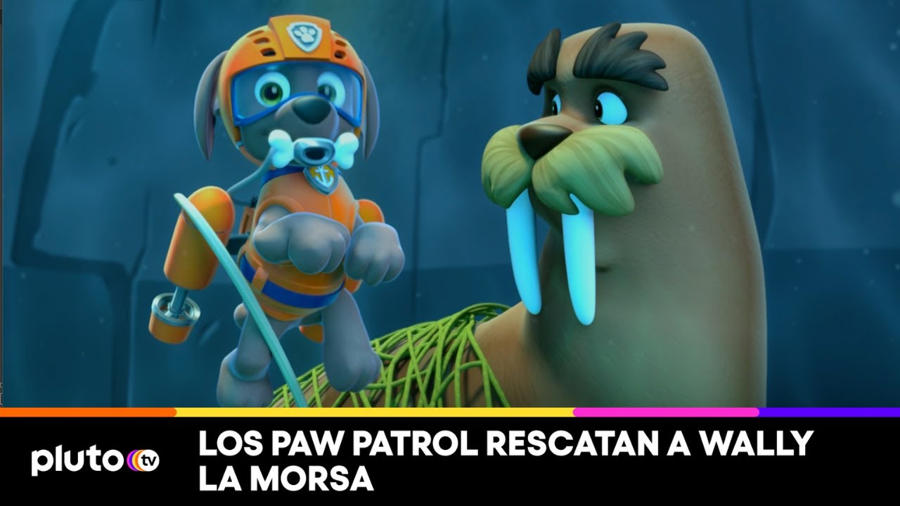 Los Paw Patrol rescatan a Wally La Morsa | Paw Patrol | Pluto TV