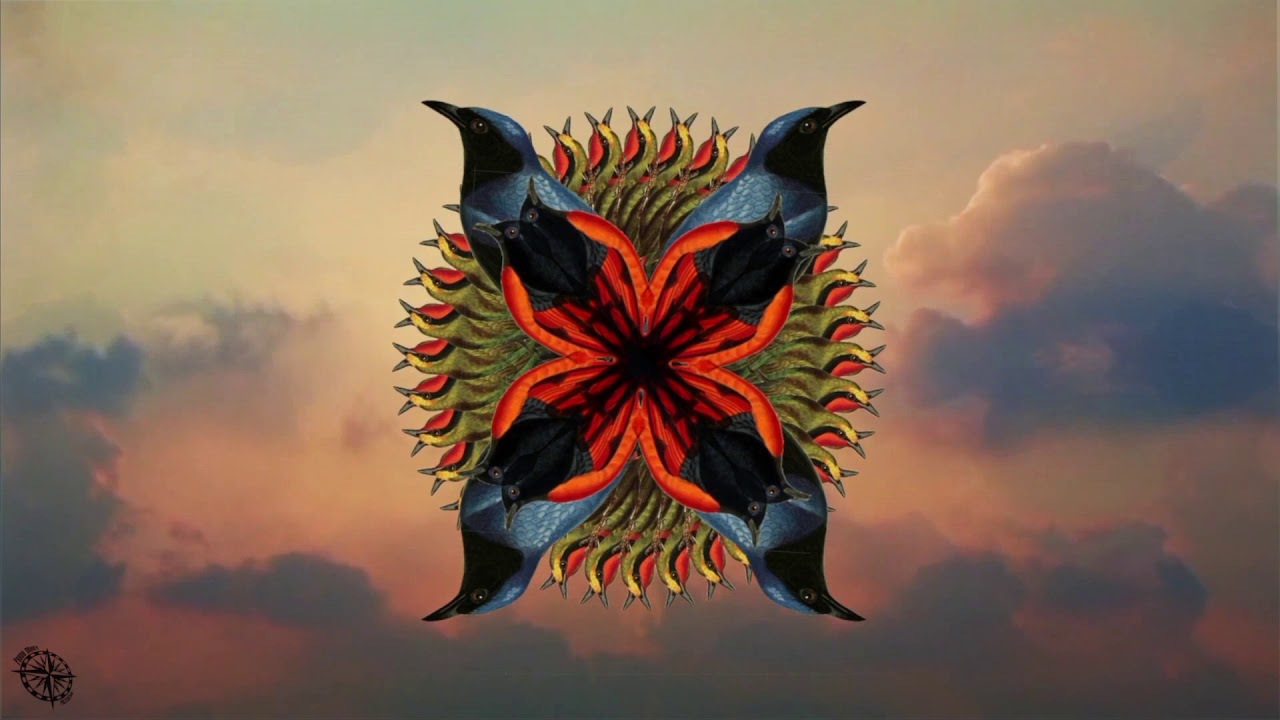 Patryk Cannon - Birds (MultiArt Kalisz 2019 Vizu by ProudMary)