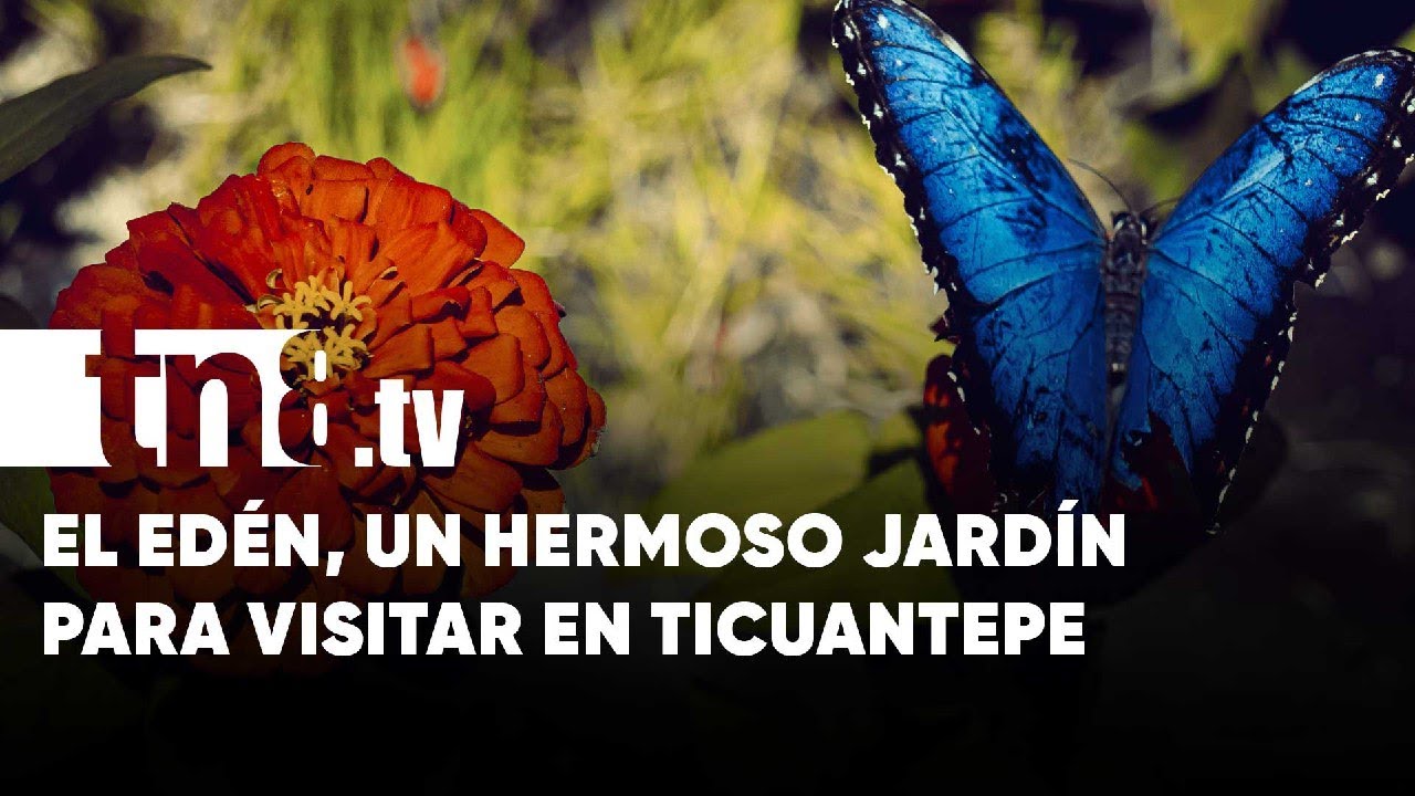 El Edén: Un refugio natural para la flora y fauna en Ticuantepe