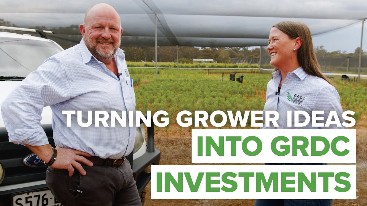 From idea to investment: The rigour behind every GRDC project