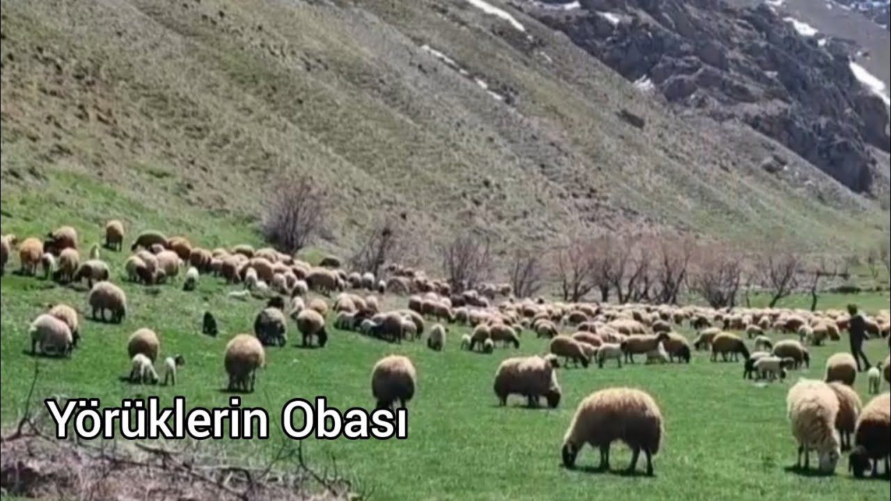 Yörüklerin Obası 